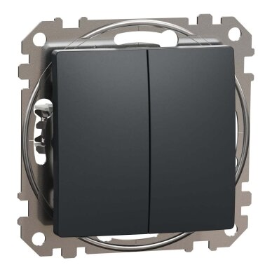 2 klavišų jungiklis Schneider Electric Sedna Design SDD114105 (antracitas) 2 klavišų jungiklis Schneider Electric Sedna Design SDD114105 (antracitas)