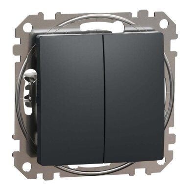 2 klavišų perjungiklis Schneider Electric Sedna Design SDD114108 (antracitas) 2 klavišų perjungiklis Schneider Electric Sedna Design SDD114108 (antracitas)