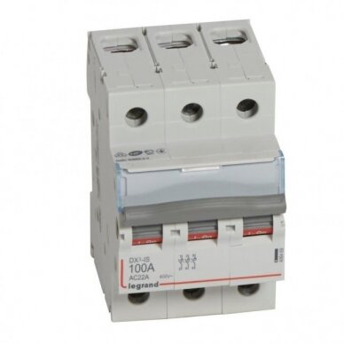Automatinis jungiklis MCB RX3 Legrand 406469 (100A, 3P, 230V, 6kA) Automatinis jungiklis MCB RX3 Legrand 406469 (100A, 3P, 230V, 6kA)