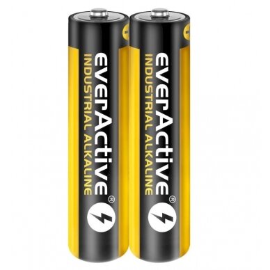 Baterija everActive Industrial Alkaline LR03 AAA (2 vnt.)