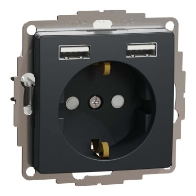 Kištukinis lizdas su įžeminimu Schneider Electric Sedna Design SDD114052 (antracitas, 2xUSB-A)